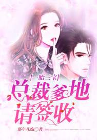 一胎三宝:总裁爹地请签收