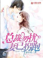 总裁勿扰,妻已拐跑