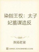 染指王权:太子妃蓄谋造反