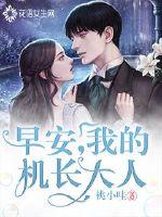 早安,我的机长大人