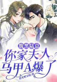 腹黑陆总,你家夫人马甲A爆了