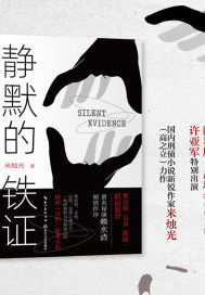 静默的铁证(网剧真相原著)