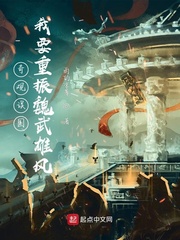 奇观误国:我要重振魏武雄风