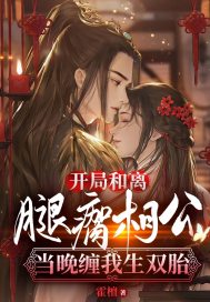 开局和离?腿瘸相公当晚缠我生双胎