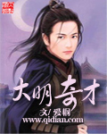 大明奇才