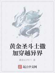 黄金圣斗士撒加穿越异界