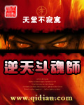 逆天斗魂师