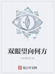 双眼望向何方