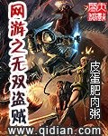 网游之无双盗贼