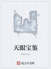 天眼宝鉴