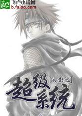 火影之超级系统