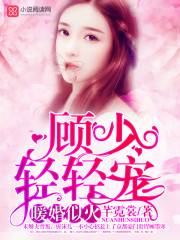 暖婚似火:顾少,轻轻宠