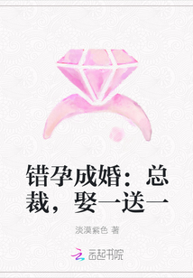 错孕成婚:总裁,娶一送一