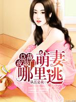 总裁夜敲门:萌妻哪里逃