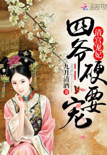 清宫宠妃:四爷,硬要宠!