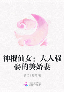 神棍仙女:大人强娶的美娇妻