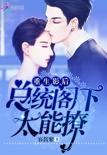 重生影后:总统阁下,太能撩