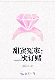 甜蜜冤家:二次订婚