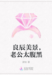 良辰美景,老公太腹黑